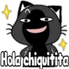 Black cat 12