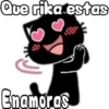 Black cat 13