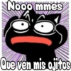 Black cat 15