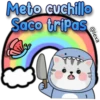 Bebé tiburón 15
