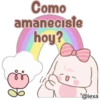 CONEJITO súper lindo 9