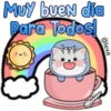 Bebé tiburón 16