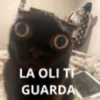 La oliiiiiiiiiiiiiiiiiiiiiiiiii 5