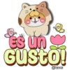 ️ Bear Emoji ️ 11