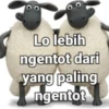 Lo lebih
ngentot dari
yang paling
ngentot