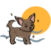 Puppy Love 5