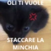 La oliiiiiiiiiiiiiiiiiiiiiiiiii 6