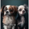 Perritos 2Guau Guau 11