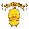 Ducklings cute 5