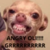 La oliiiiiiiiiiiiiiiiiiiiiiiiii 7