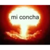 mi concha