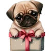 Perritos cute 14 Img1712 15