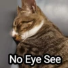 Meowgi2023 18