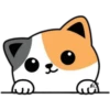 Gatitos❥ ︎ͫ2 Clásica 22