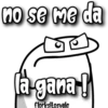 Florksito con ramo 16