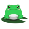Frog Feeder 6
