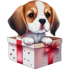 Perritos cute 14 Img1712 18