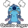 Stitch Hot 22