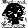 Black cat 21
