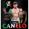 P
9
VALUE
CASA DE BOLLA
Pads Roger G
வ
DOCED
CANELO