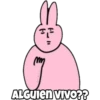 3
ALGUIEN VIVO??