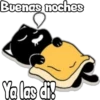 Black cat 24