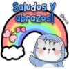Bebé tiburón 24