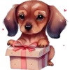 Perritos cute 14 Img1712 23
