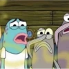 reaction memes 4 25