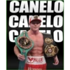 4
CANELO
CA ELO
CA HO 0
VALUE
CASA DE BOL
Hennessy