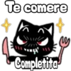 Black cat 25