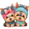 Perritos cute 14 Img1712 28