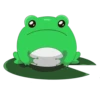 Frog Feeder 9