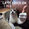 La oliiiiiiiiiiiiiiiiiiiiiiiiii 9