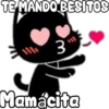 Black cat 27