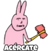 ACERCATE
