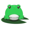 Frog Feeder 10