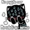 Black cat 28