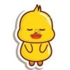 Ducklings cute 11