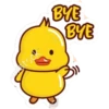 Ducklings cute 12