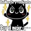 Black cat 29