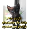 Stickers Contra el Odio II 15