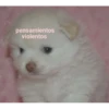 pensamientos
violentos