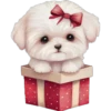 Perritos cute 14 Img1712 30