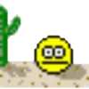 :omg: 13