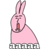 D
aaaaa