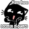Black cat 30