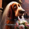 Perritos 2Guau Guau 26
