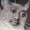 dog-cat-memes 6