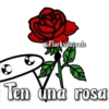@Florksitosvale
Ten und rosa